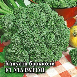 Капуста брокколи Маратон F1 250шт (Гавриш) Саката