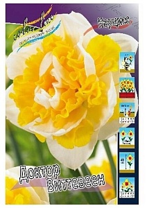 Нарцисс Д-р Виттевеен 1шт (КолЛайн)