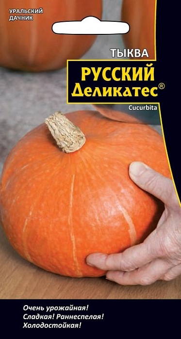 Тыква Русский Деликатес 5шт ц/п (УД) Новинка!