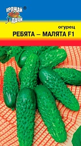 Огурец Ребята-Малята F1 0,25г ц/п (УУ)