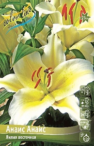 Лилия Анаис Анаис 12/14 1шт (КолЛайн) 5шт/уп