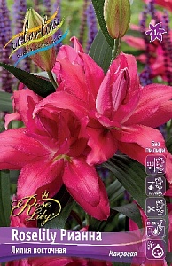 Лилия Roselily&Рианна 12/14 1шт (КолЛайн) 5шт/уп