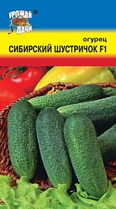 Огурец Сибирский Шустричок F1 0,3г ц/п (УУ) Новинка