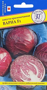 Капуста краснокочанная Варна 10шт (Престиж)