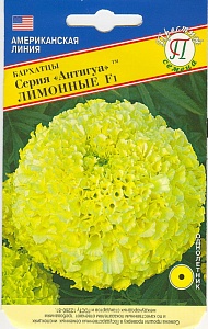 Бархатцы Антигуа F1 Лимонные 5шт (Престиж) 25см