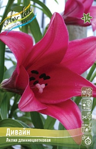 Лилия Дивайн 12/14 1шт (КолЛайн) 2шт/уп