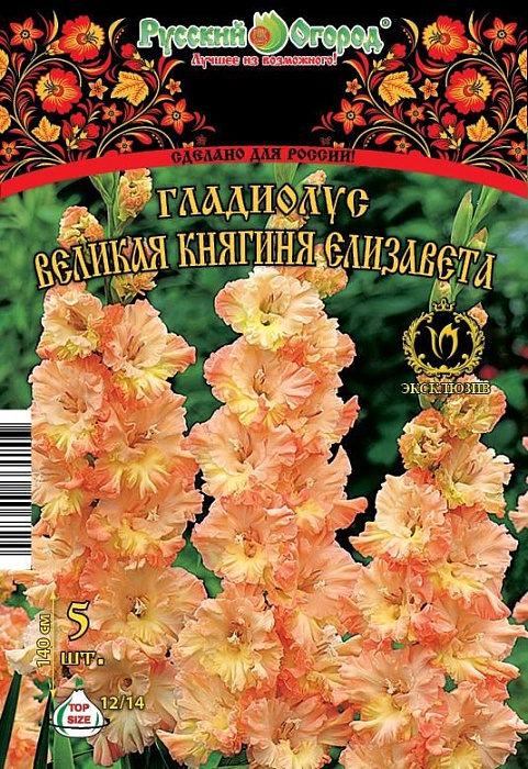 Гладиолус Великая Княгиня Елизавета 12/14 1шт (НК) 5шт/уп