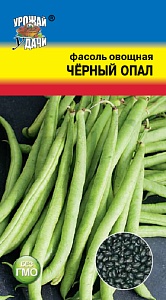 Фасоль Черный опал 5г ц/п (УУ)