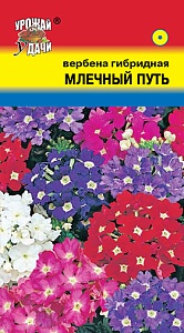 Вербена Млечный путь 0,1г ц/п (УУ)