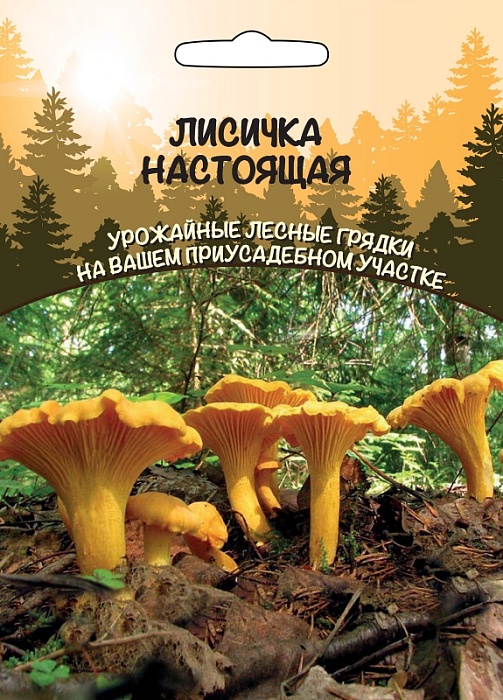 Мицелий грибов Лисичка Настоящая 15г ц/п б/ф (ССПК) 