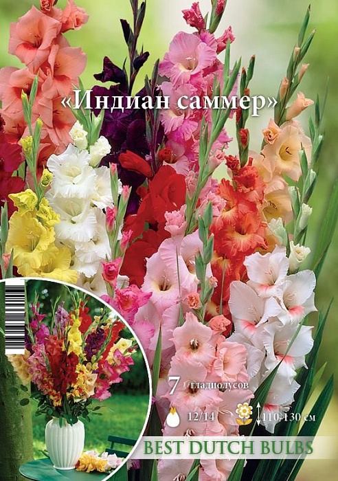 Гладиолус Индиан Саммер, смесь 12/14 1шт (НК) 7шт/уп