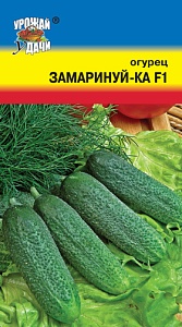 Огурец Засолочный 0,5г б/п (УУ)