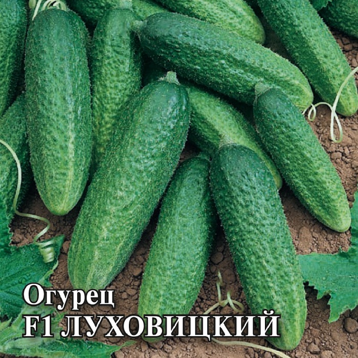 Огурец Луховицкий F1 100шт (Гавриш)