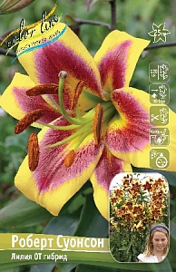 Лилия Роберт Суонсон 12/14 1шт (КолЛайн)