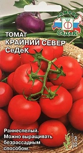 Томат Крайний север 0,1г ц/п (Седек) ранний,детермин.