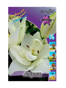 Лилия Аарон 12/14 1шт (КолЛайн) 5шт/уп