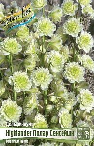 Дельфиниум Полар Сенсейшн 1шт (КолЛайн)