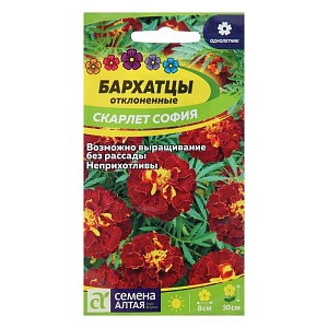 Бархатцы Скарлет София 0,2г ц/п (СемАлт)
