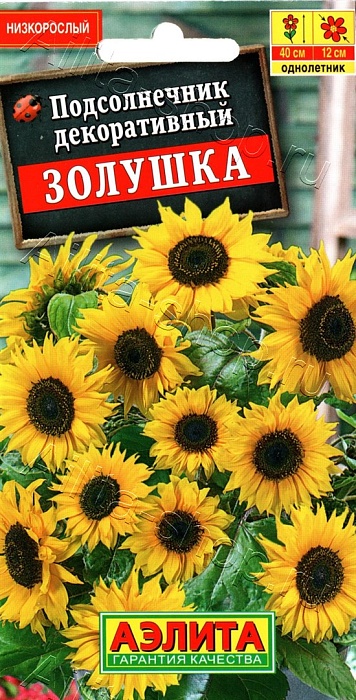 Подсолнечник Золушка 0,5г ц/п (Аэлита)