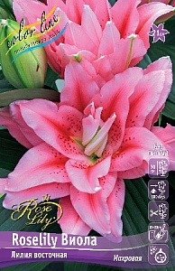 Лилия Roselily&Виола 16/18 1шт (КолЛайн) 3шт/уп
