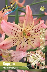 Лилия Корсаж 12/14 1шт (КолЛайн)