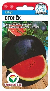 Арбуз Огонек 5шт (СибСад)
