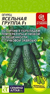 Огурец Ясельная группа 5шт ц/п (СемАлт)