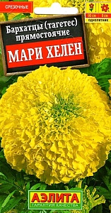 Бархатцы Мари Хелен ц/п (Аэлита) 90/8