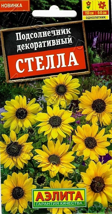 Подсолнечник Стелла 0,1г ц/п (Аэлита)