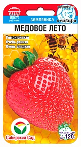 Земляника Медовое лето 5шт (СибСад)
