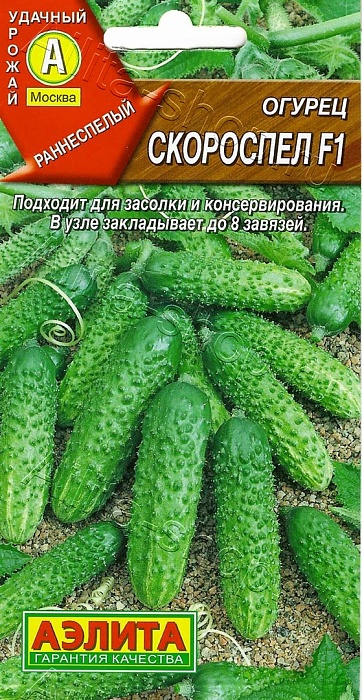 Огурец Скороспел F1 10шт ц/п (Аэлита) 