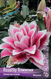 Лилия Roselily&Олимпия 12/14 1шт (КолЛайн) 5шт/уп
