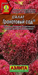 Салат Гранатовый сад 0,5г ц/п (Аэлита) красный