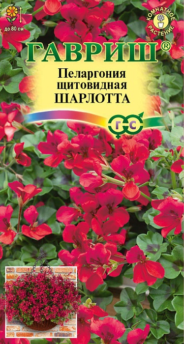 Пеларгония Шарлотта ампельная 3шт ц/п (Гавриш)