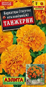 Бархатцы Танжерин 0,3г ц/п (Аэлита) 30см/7см