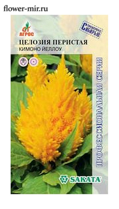 Целозия перистая Кимоно Йуллоу 15шт ц/п (Агрос) 15см