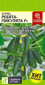 Огурец Ребята-Пикулята 5шт ц/п (СемАлт)