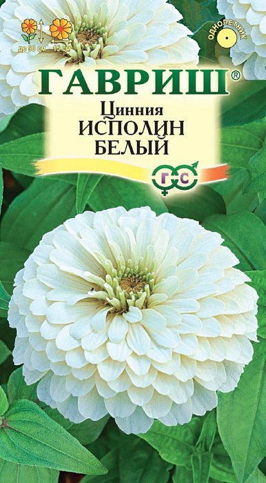 Цинния Исполин белый 0,3г ц/п (Гавриш) 90см,георгинов.круп