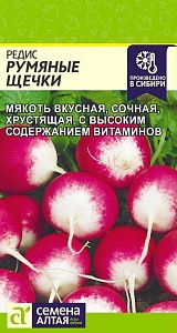 Редис Румяные щечки 2г ц/п (СемАлт)