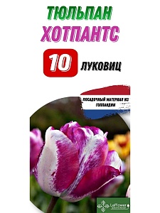 Тюльпан Хотпантс 1шт (Садовита) 10шт/уп