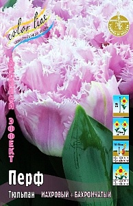 Тюльпан Перф 1шт (КолЛайн) 5шт/уп