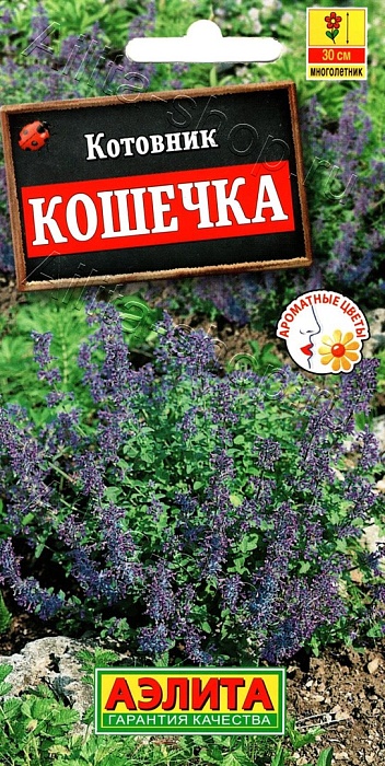 Котовник Кошечка 0,2г ц/п (Аэлита)
