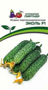 Огурец Эколь F1 5шт (Партнер) ранн., защищ. и откр.грунт