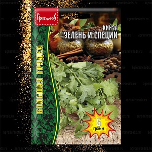 Кинза Зелень и Специи 5г (Григорьев)