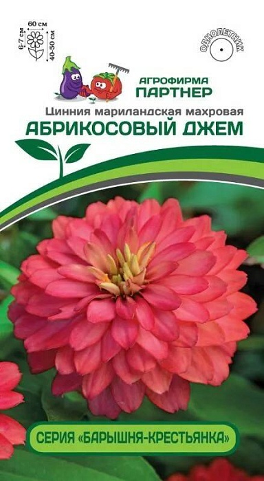 Цинния Абрикосовый джем 5шт (Партнер)