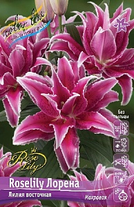 Лилия Roselily&Лорена 12/14 1шт (КолЛайн) 5шт/уп