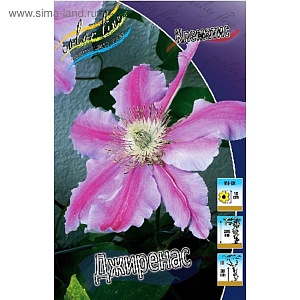 Клематис Джиренас 1шт (КолЛайн) 2шт/уп