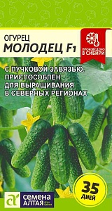 Огурец Молодец 5шт ц/п (СемАлт)