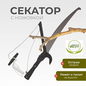 Веткорез штанговый с ножовкой ВКШ с/ш 010125 (Иагро)
