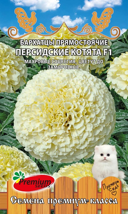 Бархатцы Персидские котята F1 0,04г ц/п (ПрСидс) прям